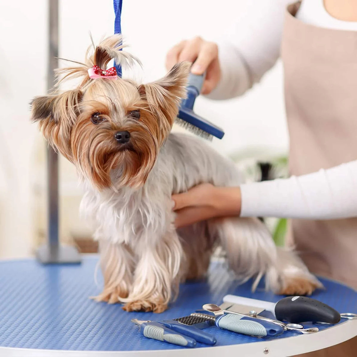 Grooming Supplies