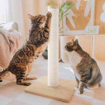 Scratching Posts