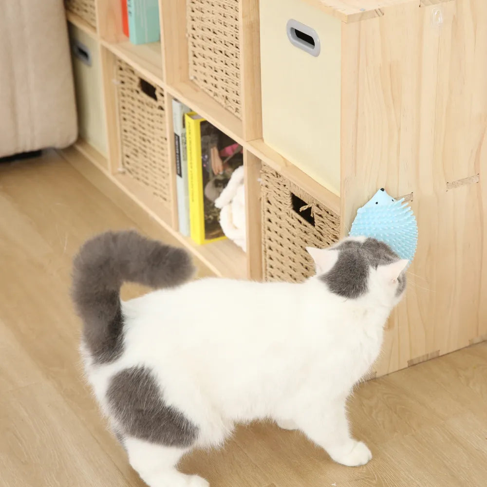 14PCS/Carton Catnip Hedgehog Cat Toy 3 Colors Mixed Interactive Chew Scratch Massage Toy Durable Catnip Toys for Cats Kittens