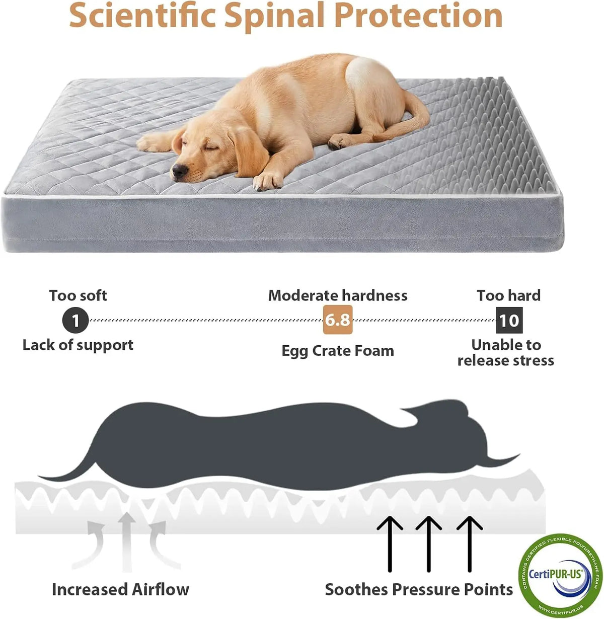 2026 New Arrival Orthopedic Dog Bed Waterproof Removable Washable Pet Mat, Joint Support Cozy Sleep Bed for Large Senior Dogs