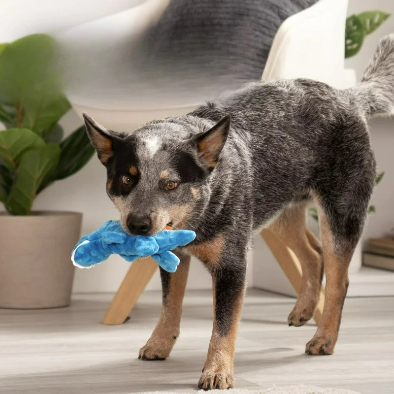 Gators Squeaky Plush Dog Toy, Chew Guard Technology, Blue, Mini