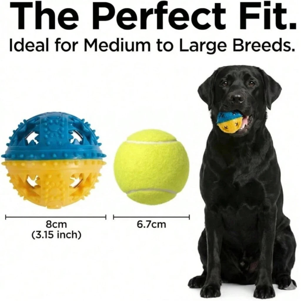 Elevated Dog Bowls and Stand Adjustable Height with Slow Feeder and a ball, Anti-Slip Raised Pet Feeder for Large Medium Small Dogs, Stainless Steel Water Food Dish Set