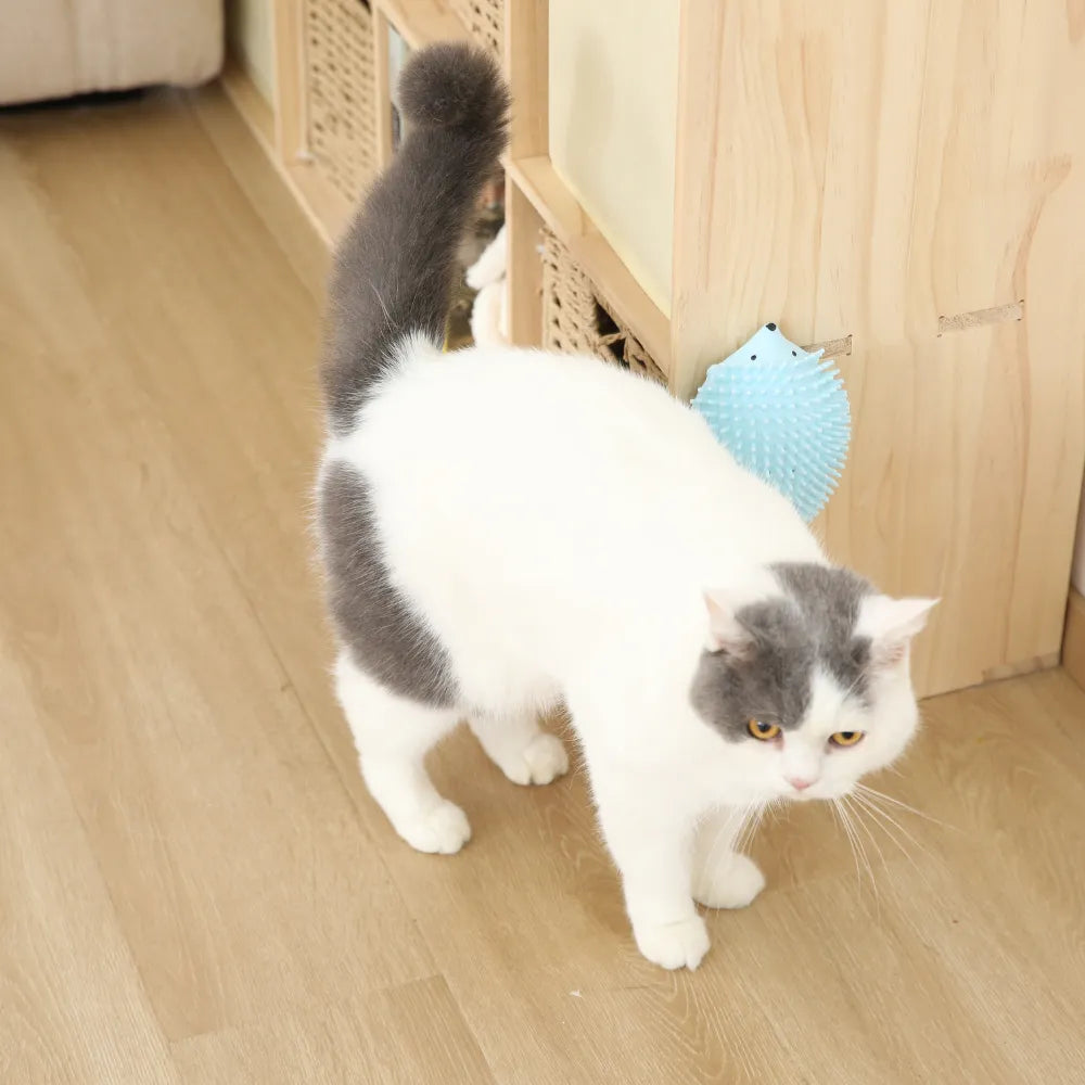 14PCS/Carton Catnip Hedgehog Cat Toy 3 Colors Mixed Interactive Chew Scratch Massage Toy Durable Catnip Toys for Cats Kittens